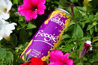 Purple beer can nestled in greenery with pink flowers
